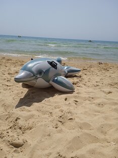 Поездки к морю и не только