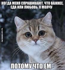 Про питание 