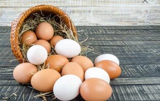 Мои куры лучше всех!!! 