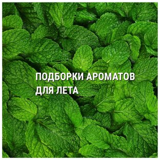 ЛЕТНИЕ