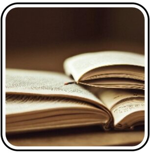 Мои истории 