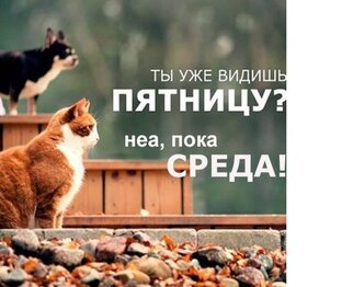 Ищу баланс работа+отдых