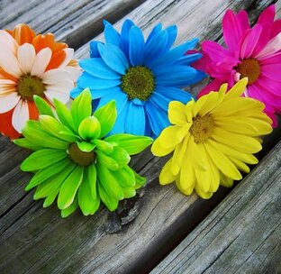 Природа-художник