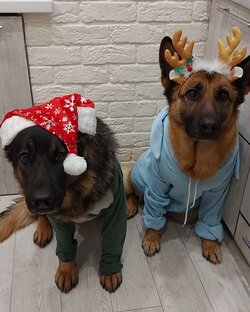 🐶💕Большая семья с классными девчонками🐶💕