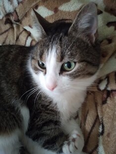 Счастливчик 😻 самый младший член семьи 