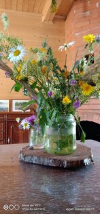 Сюжеты добра