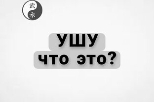 УШУ что это?
