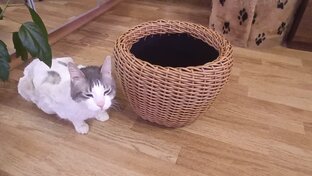 Кашпо из ротанга