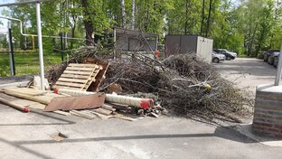 Безрассудство