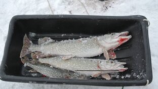 Рыбалка.