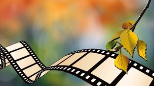 Поговорим о кино