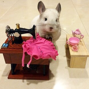 Создание костюмов