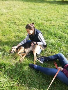 Будни 4 ряда🐾