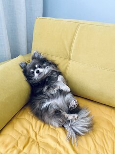 Теодор Булкин 