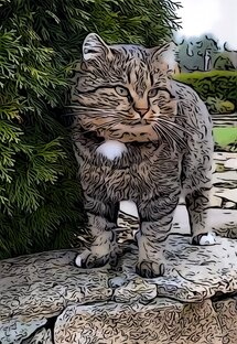 Рассказы о кошках