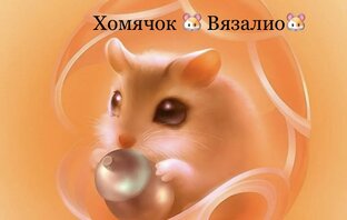 Тайные покупки хомячка Вязалио