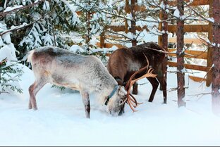 Путешествия по России