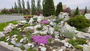 Красивые виды 