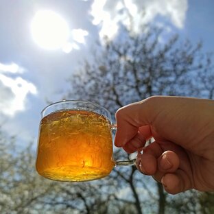 О еде — вкусно! 