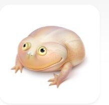 Шуточные статьи