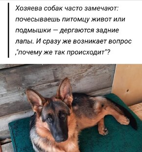 статьи