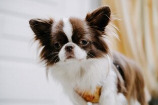 Однодневные походы 2022