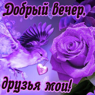 Добрый вечер!