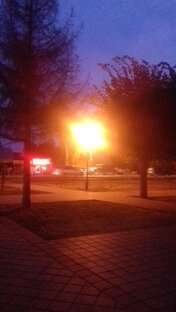 Играя в любовь