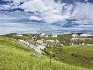 рассказы