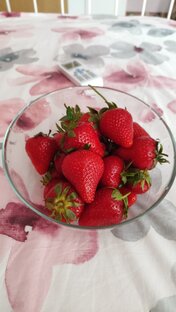 Кадры повседневности