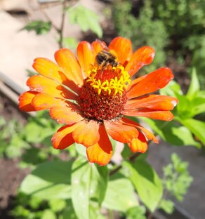 Философские заметки