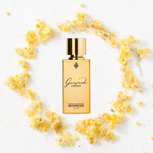 Новая концентрация аромата Ganymede 