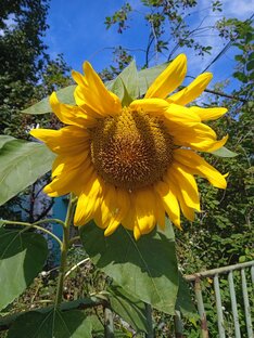 Природа. Не коты🌞🌦🍀