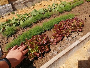 Огород в Межводном