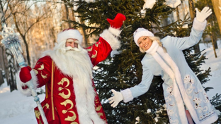 Новогодние советы