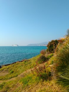 Мои мысли - мои скакуны