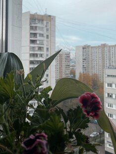 Отношения