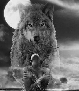 Душа Волка!!!