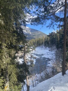 Интервью с таксатором 