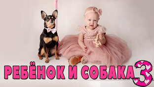 Собака и ребёнок