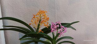 Распаковочки посылок 