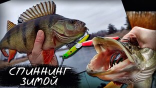 Рыбалка на хищную рыбу