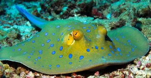 Мои статьи.