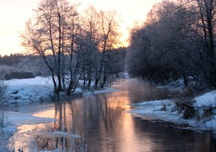 Моя летопись: мои мелодии месяца и не только