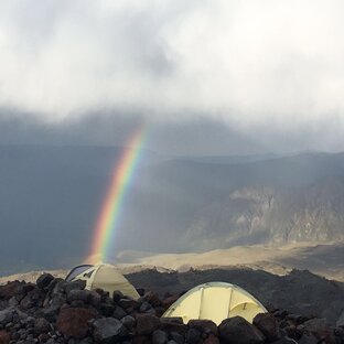 Познай себя
