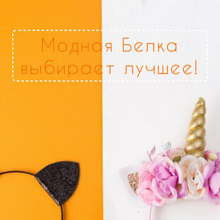 Модная Белка выбирает лучшее!