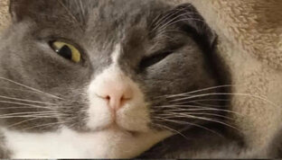 НЕ ВСЕ, ЧТО ВЫЗЫВАЕТ УЛЫБКУ ЯВЛЯЕТСЯ ЮМОРОМ.