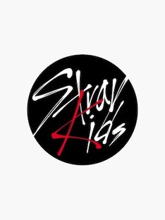 Реакции на Stray Kids