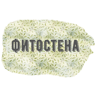 мой опыт