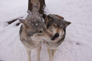 B2 - Большие города....